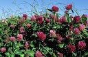 BUITEN BEELD Foto: 159405