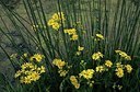BUITEN BEELD Foto: 159444