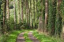 BUITEN BEELD Foto: 159461