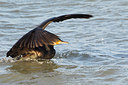 BUITEN BEELD Foto: 159504