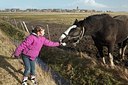 BUITEN BEELD Foto: 159584