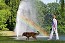 BUITEN BEELD Foto: 159604