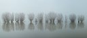 BUITEN BEELD Foto: 159718