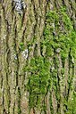 BUITEN BEELD Foto: 159796