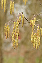BUITEN BEELD Foto: 159930