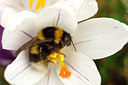 BUITEN BEELD Foto: 159948