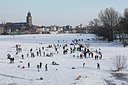 BUITEN BEELD Foto: 159993