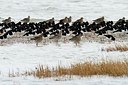 BUITEN BEELD Foto: 160054
