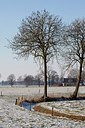 BUITEN BEELD Foto: 160064