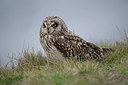 BUITEN BEELD Foto: 160067