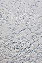BUITEN BEELD Foto: 160069