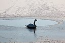 BUITEN BEELD Foto: 160071