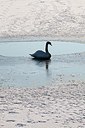 BUITEN BEELD Foto: 160072