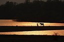 BUITEN BEELD Foto: 160102