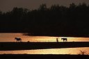BUITEN BEELD Foto: 160103