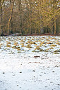 BUITEN BEELD Foto: 160271