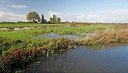 BUITEN BEELD Foto: 160273