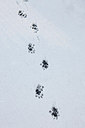 BUITEN BEELD Foto: 160310