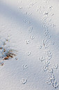 BUITEN BEELD Foto: 160331