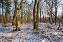 BUITEN BEELD Foto: 160345