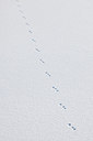 BUITEN BEELD Foto: 160357
