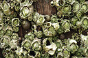 BUITEN BEELD Foto: 160429