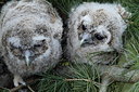 BUITEN BEELD Foto: 160549