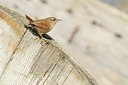 BUITEN BEELD Foto: 160653