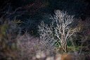 BUITEN BEELD Foto: 160677