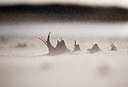 BUITEN BEELD Foto: 160703