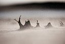 BUITEN BEELD Foto: 160704