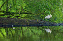 BUITEN BEELD Foto: 160780
