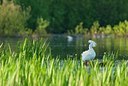 BUITEN BEELD Foto: 160784