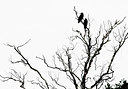 BUITEN BEELD Foto: 160856