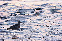 BUITEN BEELD Foto: 160858