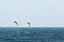 BUITEN BEELD Foto: 160951