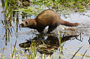 BUITEN BEELD Foto: 160988