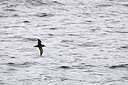 BUITEN BEELD Foto: 161034