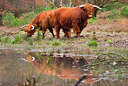 BUITEN BEELD Foto: 161168