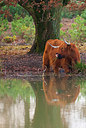 BUITEN BEELD Foto: 161170