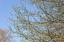 BUITEN BEELD Foto: 161203