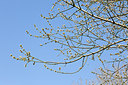 BUITEN BEELD Foto: 161204