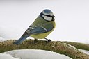 BUITEN BEELD Foto: 161248