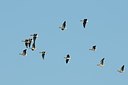 BUITEN BEELD Foto: 161250