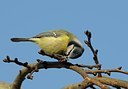 BUITEN BEELD Foto: 161265