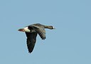 BUITEN BEELD Foto: 161267