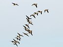 BUITEN BEELD Foto: 161309