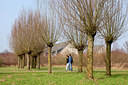 BUITEN BEELD Foto: 161316