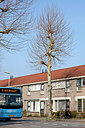 BUITEN BEELD Foto: 161324