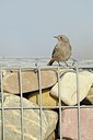 BUITEN BEELD Foto: 161331